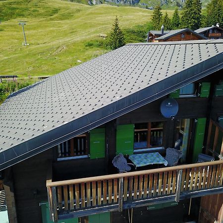 Eliane Daire Bettmeralp Dış mekan fotoğraf