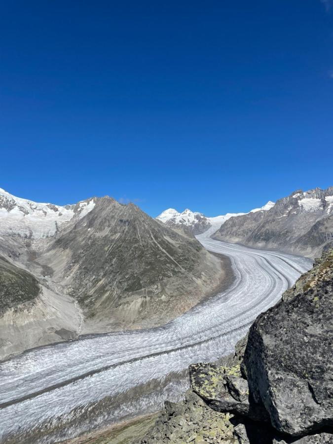Eliane Daire Bettmeralp Dış mekan fotoğraf