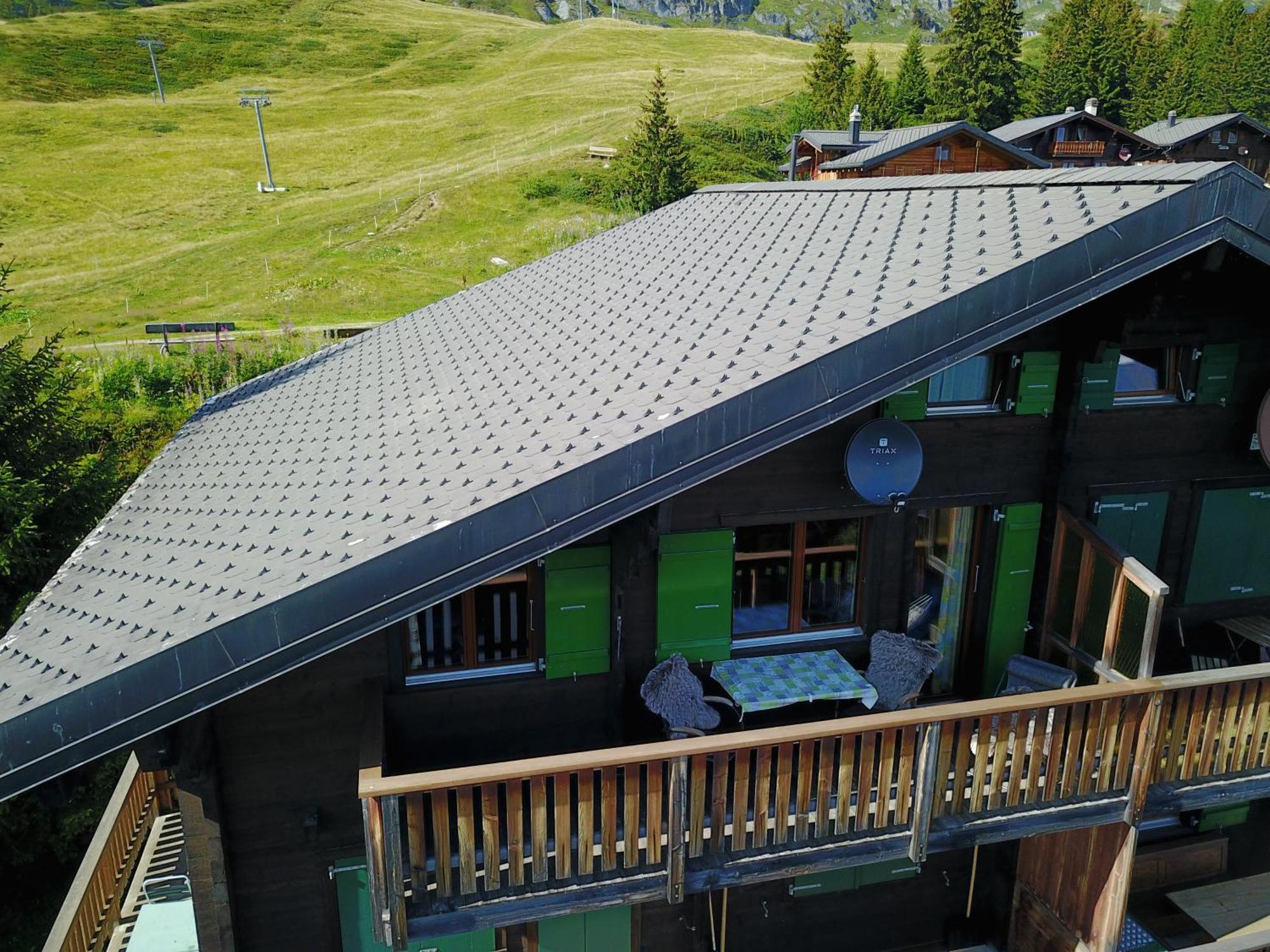 Eliane Daire Bettmeralp Dış mekan fotoğraf
